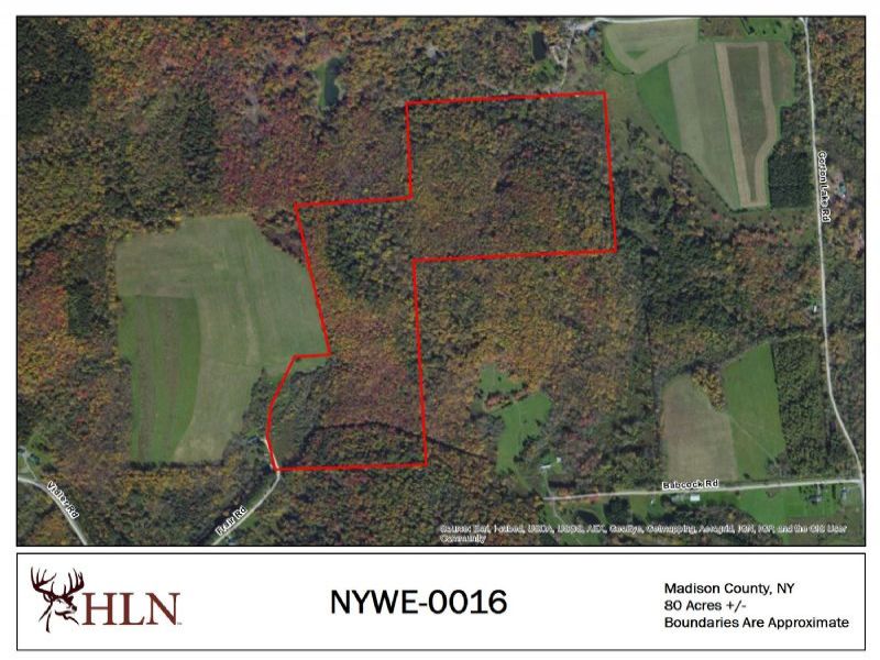 New York Hunting Leases Hunting Lease Network