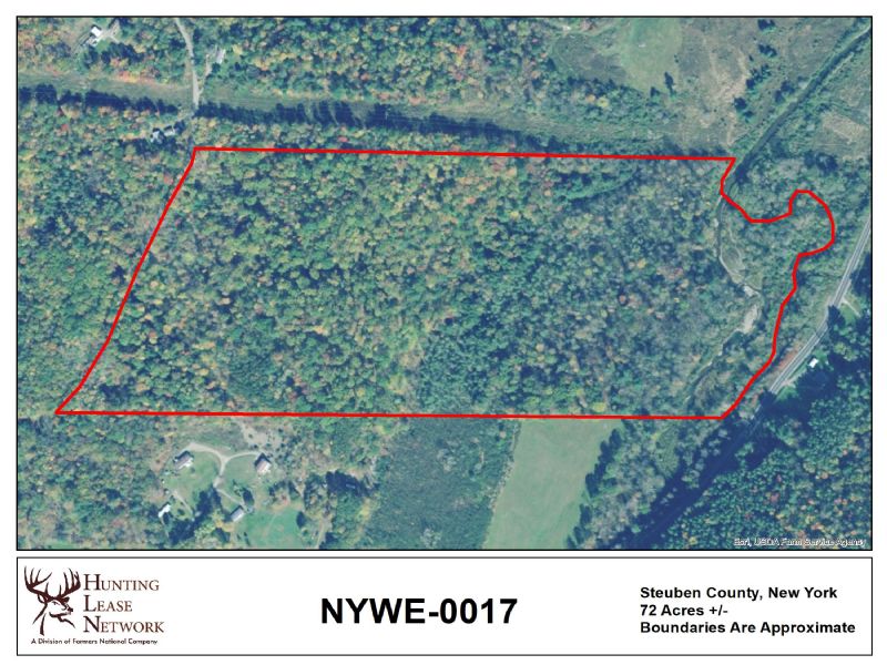 New York Hunting Leases Hunting Lease Network