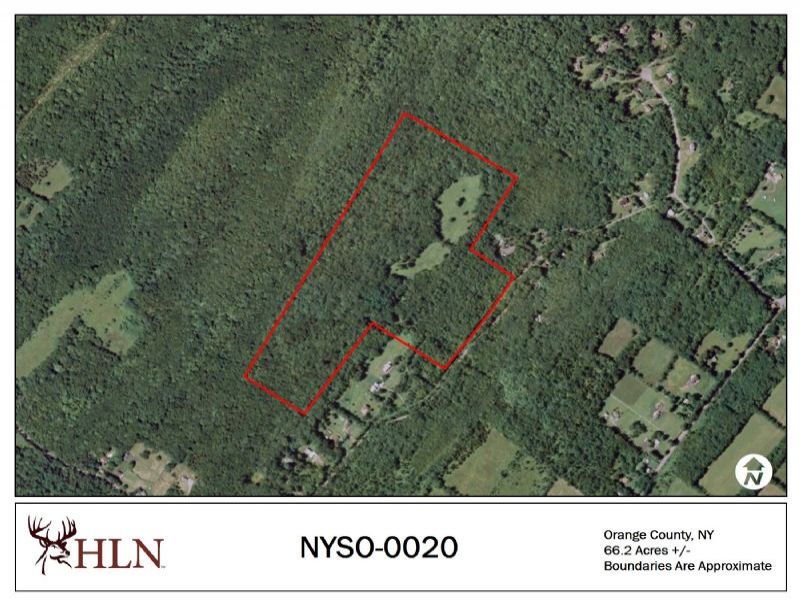 New York Hunting Leases Hunting Lease Network