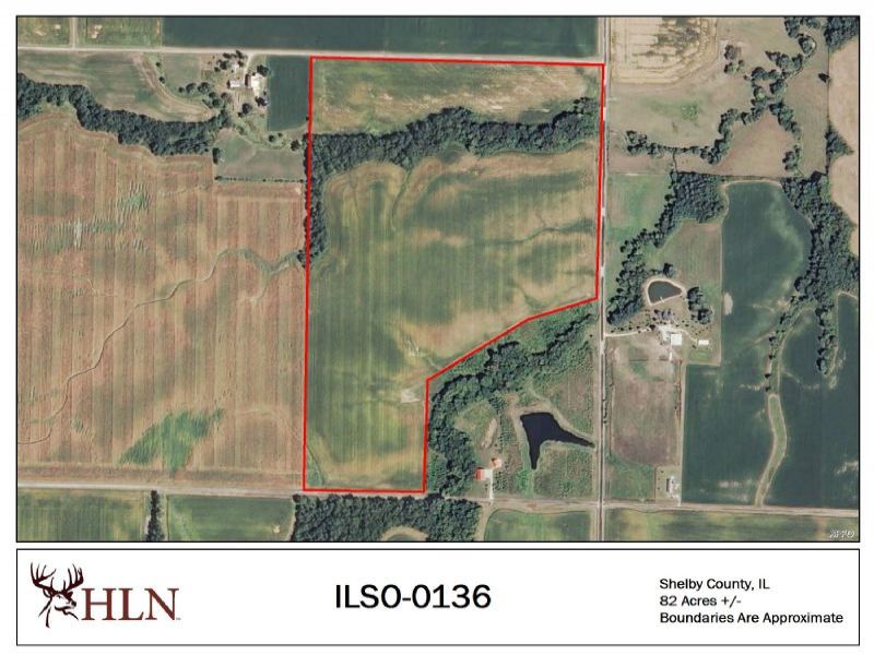 Illinois Hunting Leases Hunting Lease Network