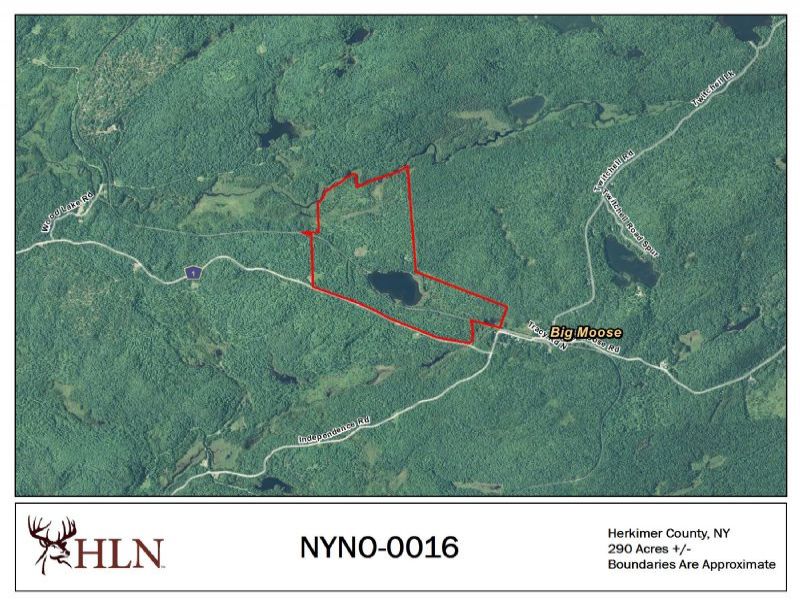 New York Hunting Leases Hunting Lease Network