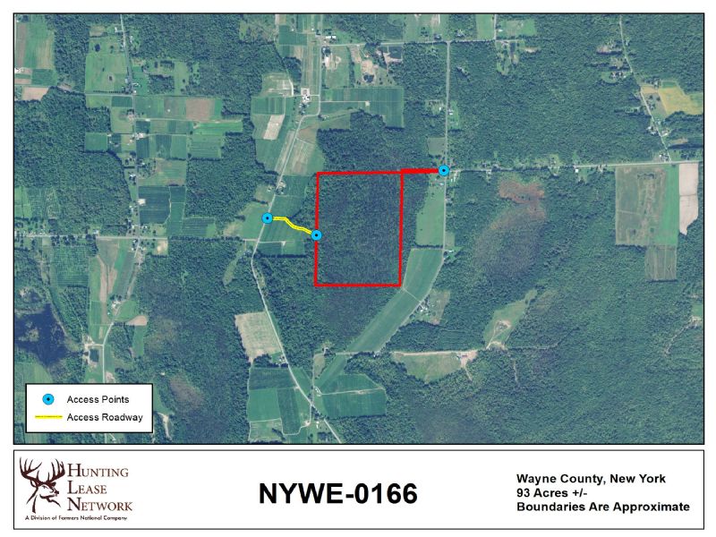 New York Hunting Leases Hunting Lease Network