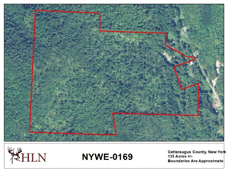 New York Hunting Leases Hunting Lease Network