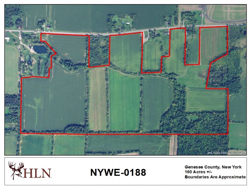 Hunting Land To Lease Near Me at Francis Bruggeman blog