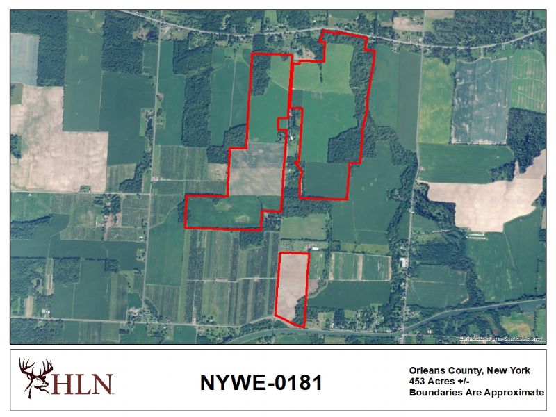 New York Hunting Leases Hunting Lease Network