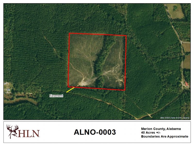 Hunting Leases Hunting Lease Network