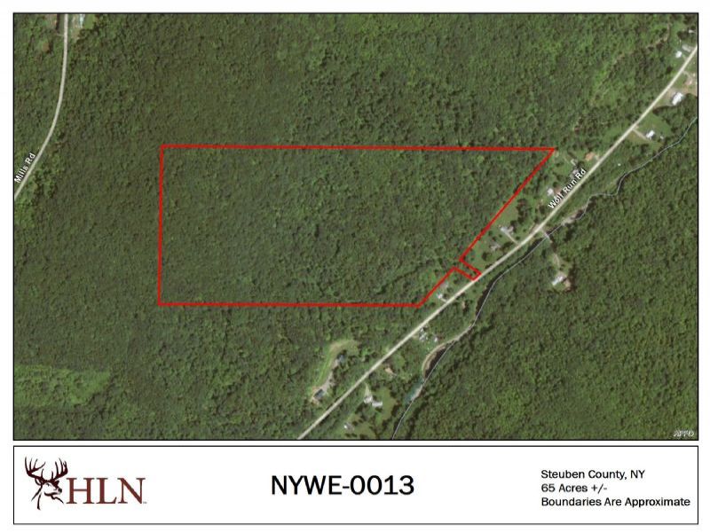 New York Hunting Leases Hunting Lease Network