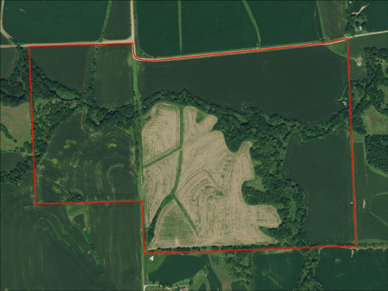 Hunting Property Photo