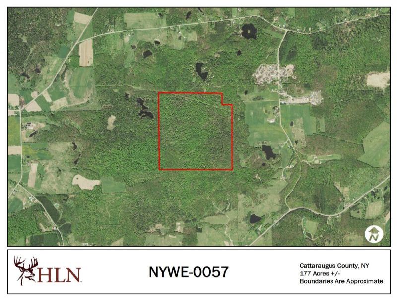 New York Hunting Leases Hunting Lease Network