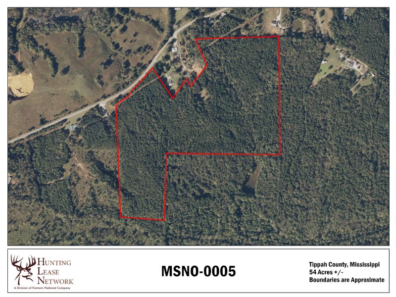 Mississippi Hunting Leases Hunting Lease Network