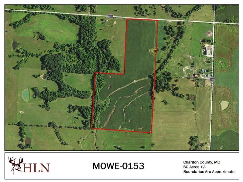 Hunting Property Photo