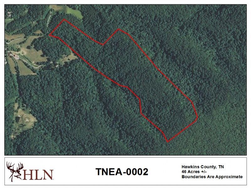 Tennessee Hunting Leases Hunting Lease Network