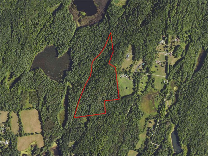 Hunting Property Photo