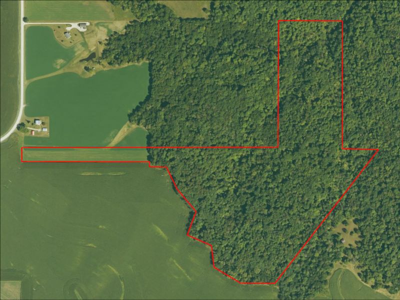 Hunting Property Photo