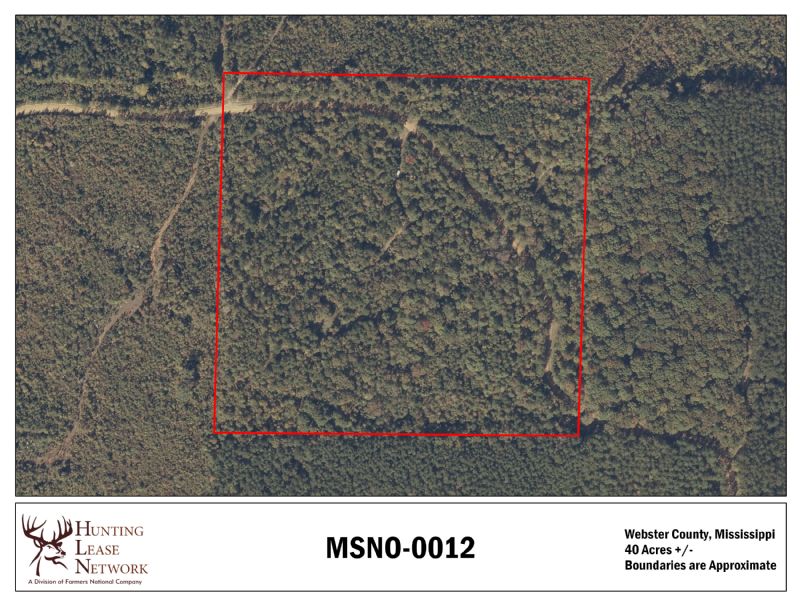 Hunting Property Photo