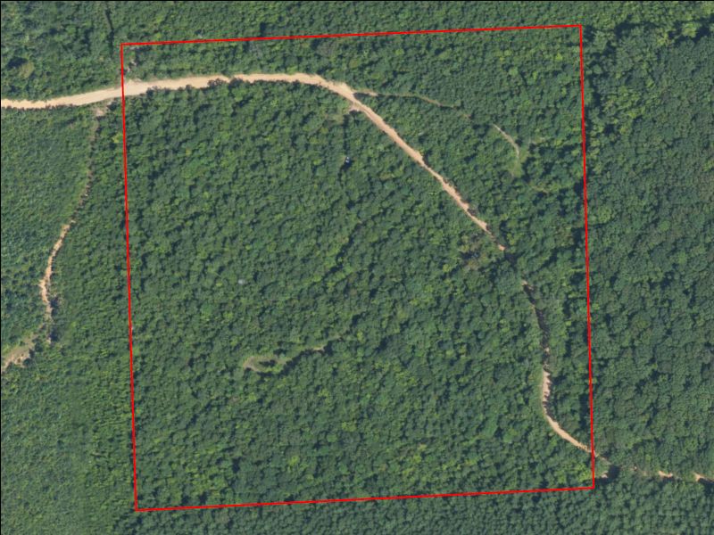 Hunting Property Photo