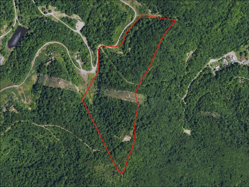 Hunting Property Photo