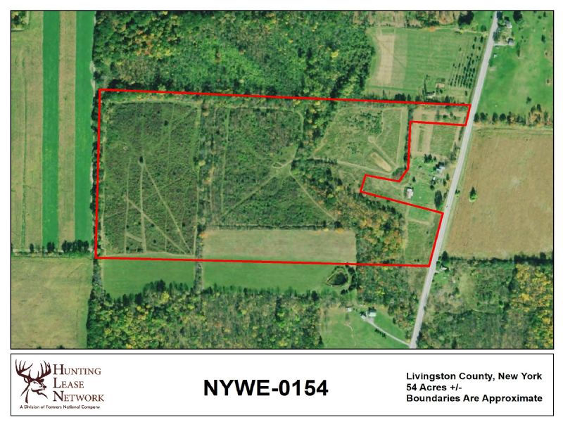 New York Hunting Leases Hunting Lease Network