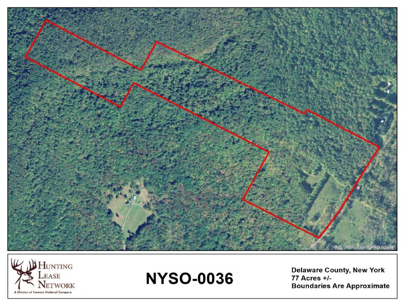 Hunting Property Photo
