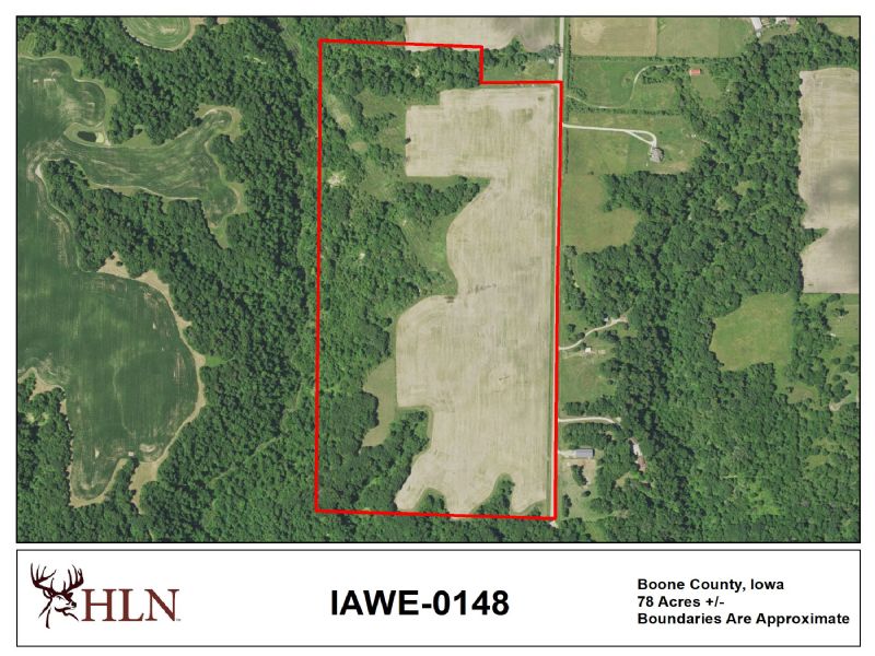 Hunting Property Photo