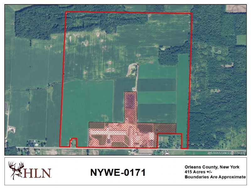 New York Hunting Leases Hunting Lease Network