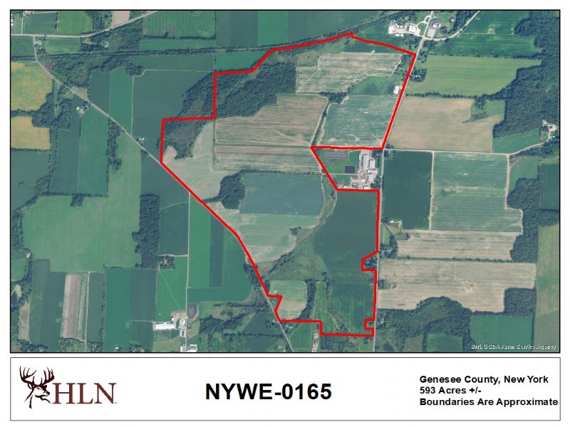 New York Hunting Leases Hunting Lease Network