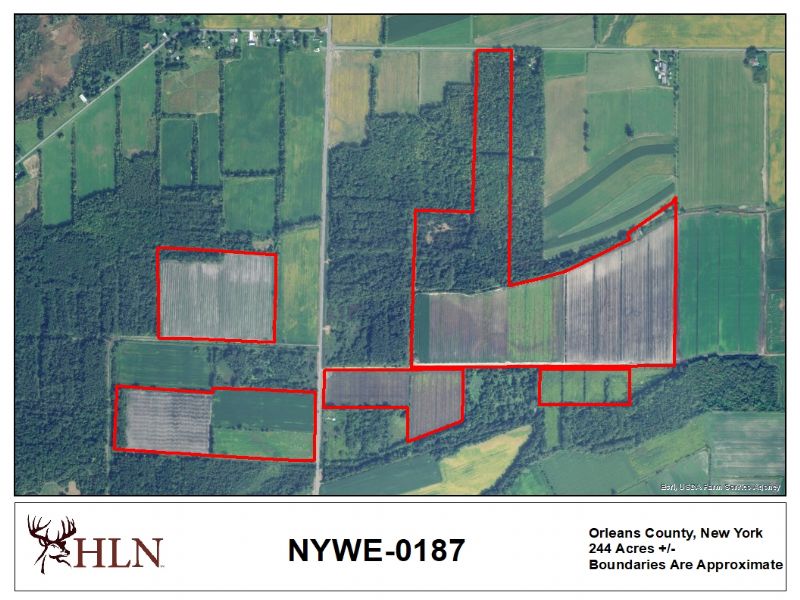 Hunting Leases Hunting Lease Network
