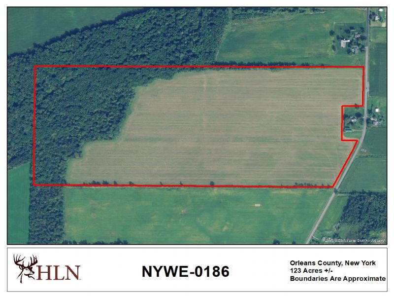 New York Hunting Leases Hunting Lease Network