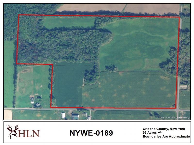 Hunting Leases Hunting Lease Network