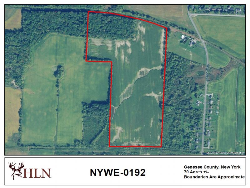 New York Hunting Leases Hunting Lease Network