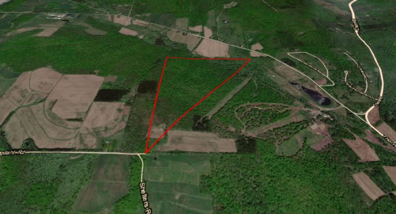 Hunting Property Photo