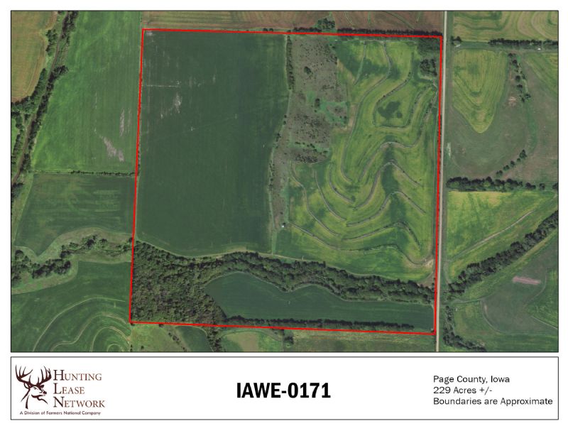 Hunting Property Photo