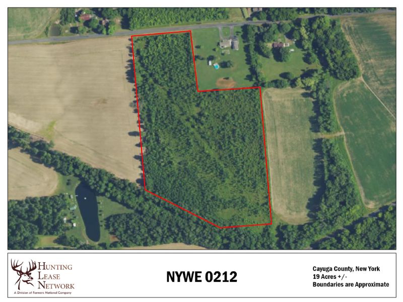 Hunting Property Photo