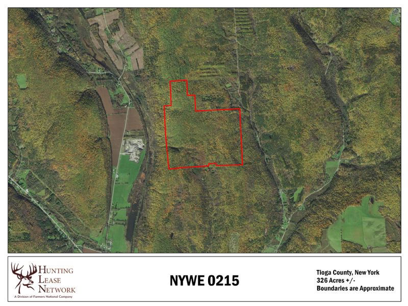 NYWE 0215 Hunting Lease in Tioga County, NY 324 Acres