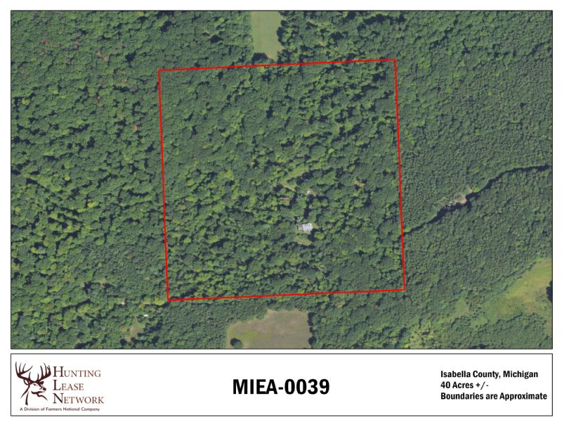 MIEA 0039 Hunting Lease in Isabella County, MI 40 Acres
