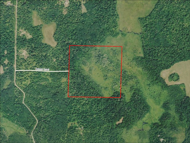 Hunting Property Photo