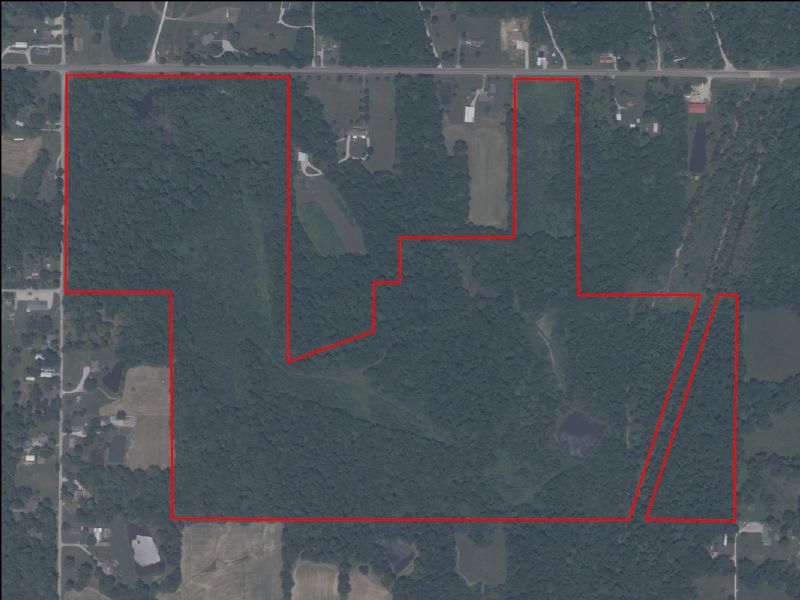 Hunting Property Photo