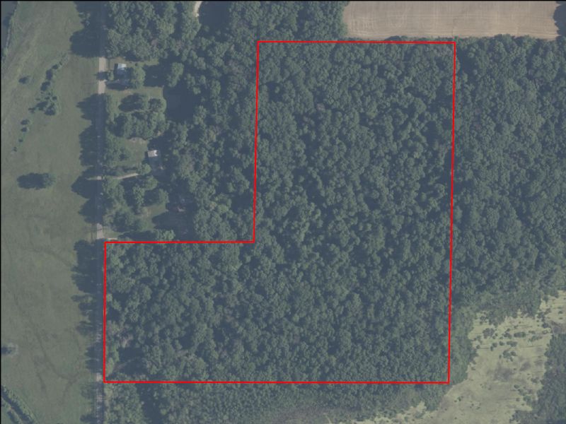 Hunting Property Photo
